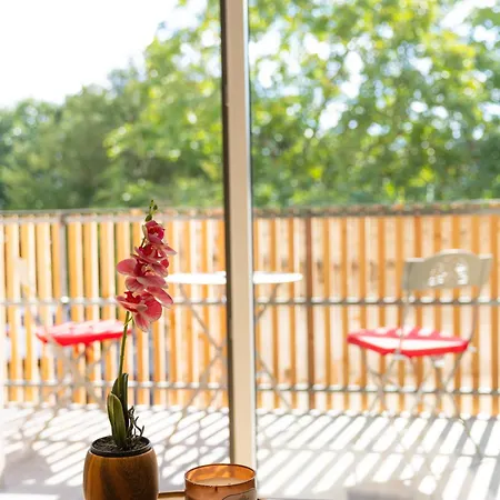 Entre Loire Et Vignes *